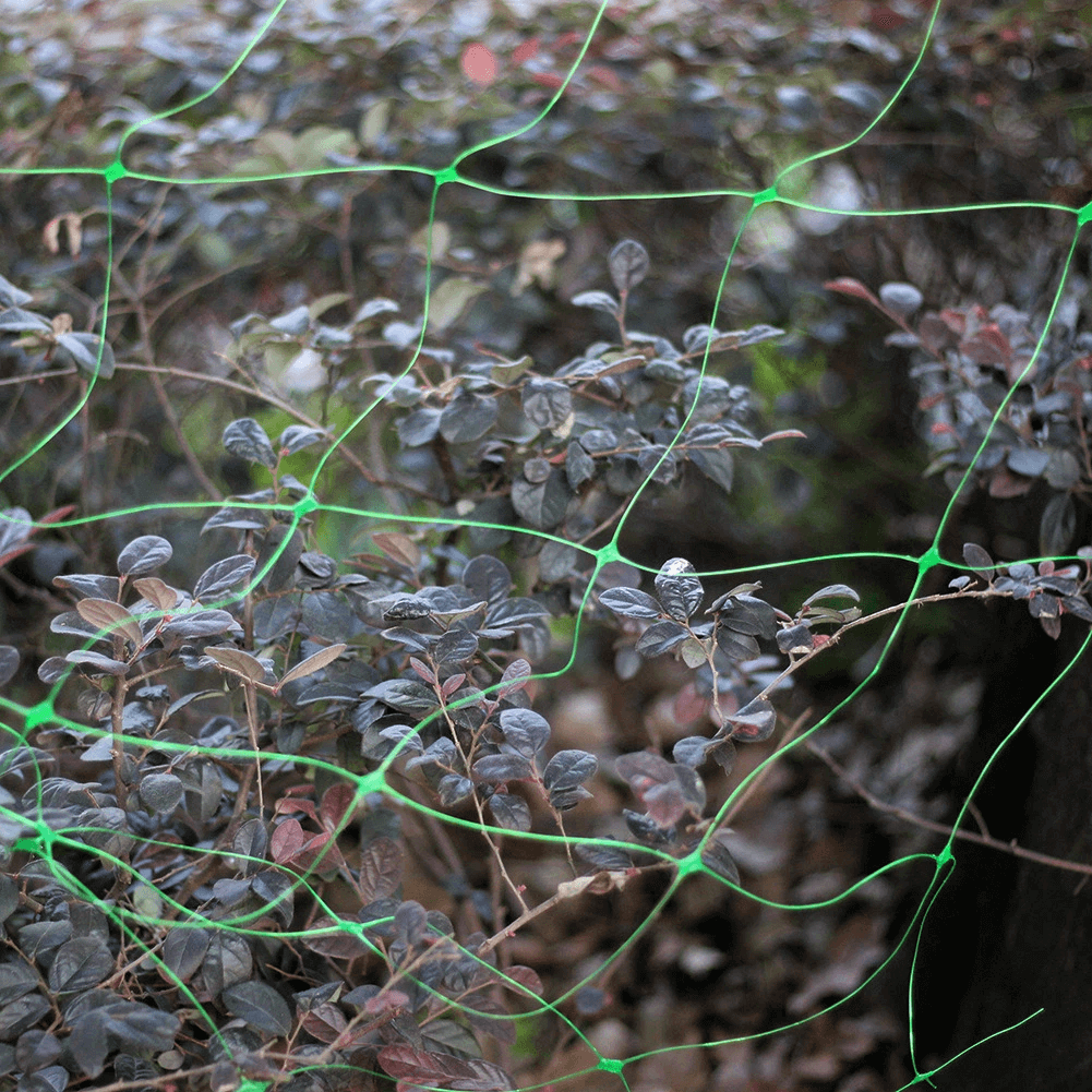 rede de escalada de pepino de feij&atilde;o