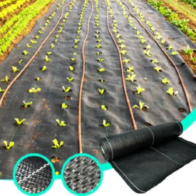 Os benefícios de SUGRAND cobertura do solo