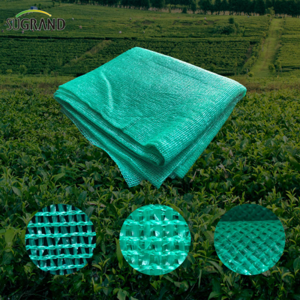 Venda quente 100% Virgin HDPE Seis agulhas Mono Tape Green Shade Net