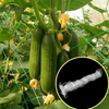 Garden Green White Balck Trellis Plant Climbing Support Fornecedores de rede