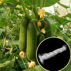 Garden Green White Balck Trellis Plant Climbing Support Fornecedores de rede