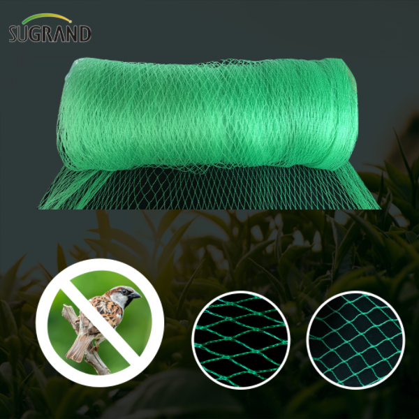 Como escolher a rede anti-pássaro