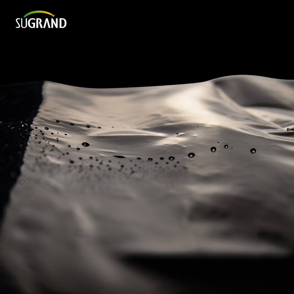 PE Garden Weed Mat Agriculture Plastic Mulch Film