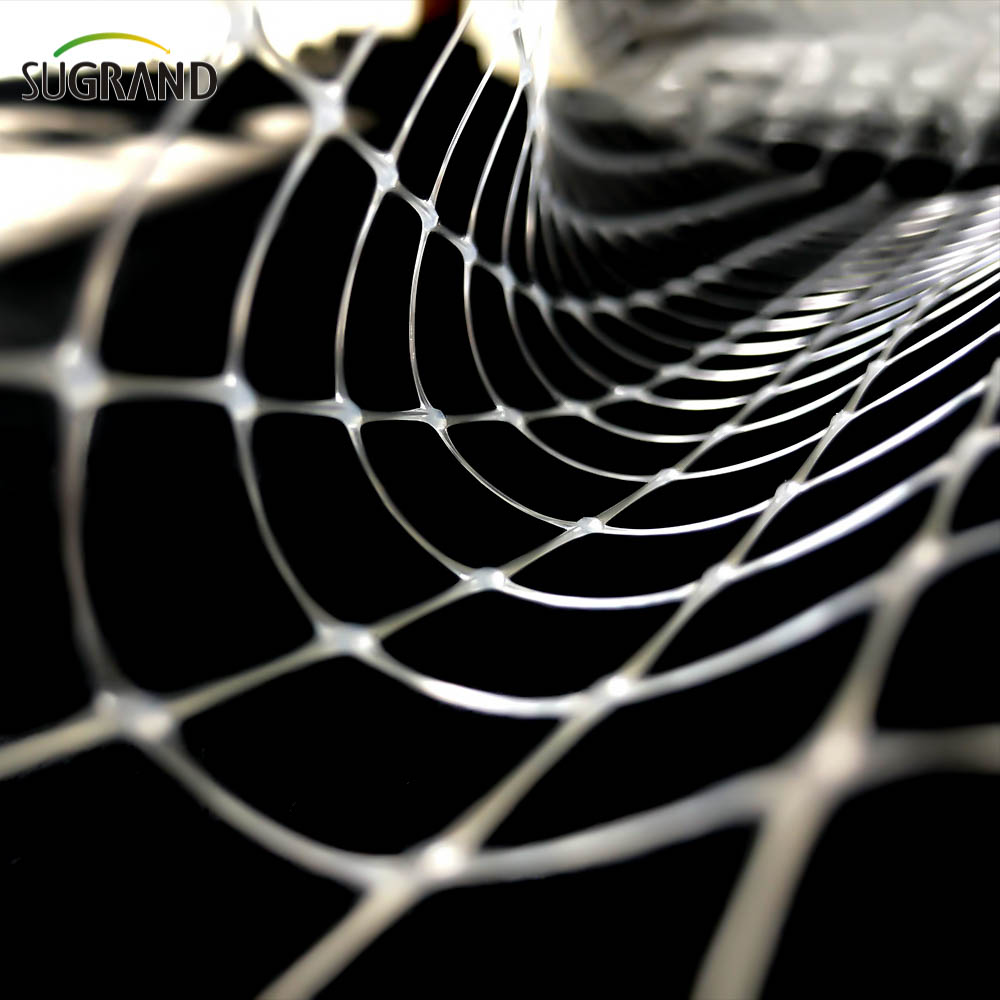 White 8*8mm Anti-Bird Net para Frutas de Frutas Fornecedores de Rede de Aves