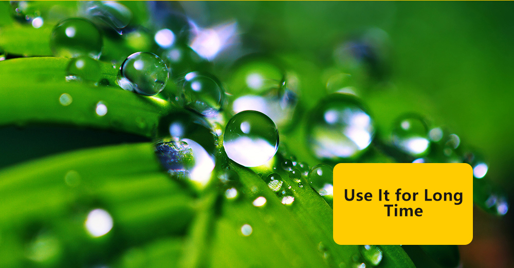 greenhouse film5 Greenhouse Film5