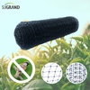 HDPE 200m Anti -Bird Net para proteger frutas vegetais