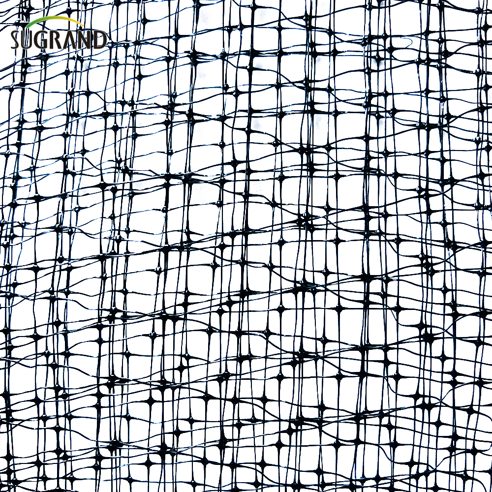 40G preto 15x15 ou 16x16 Redação de pássaros de árvore frutífera para serviço pesado