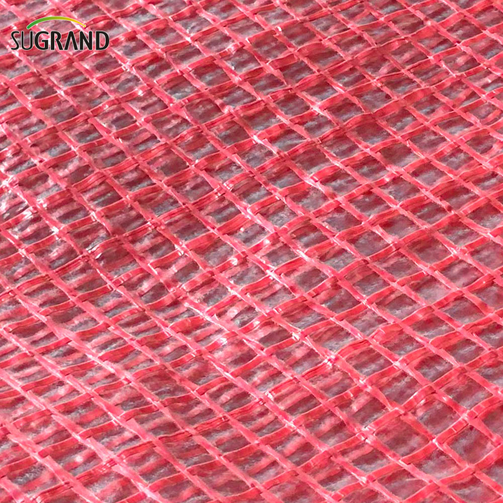 Felas de malha de andaimes plásticos Tarcaulina PE transparente