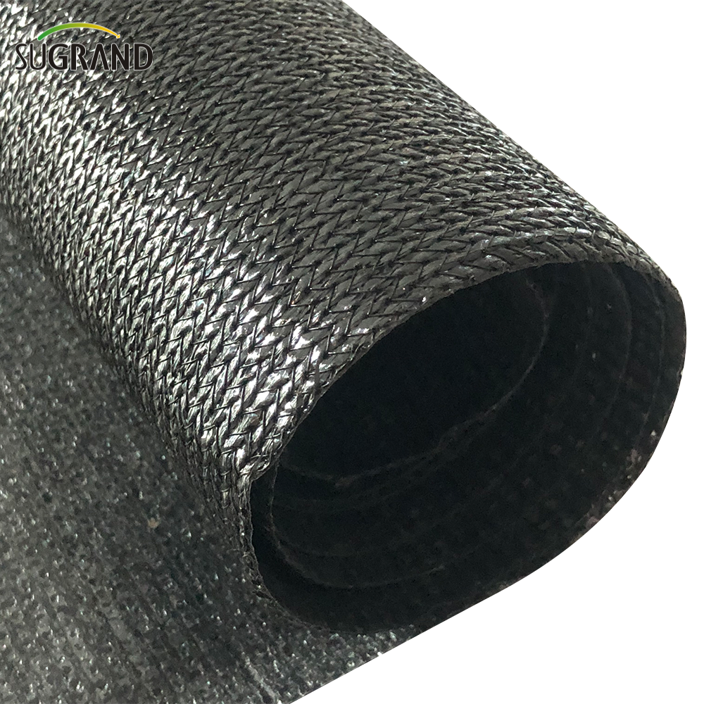 Backyard Black Water impermeável Sun Sal Sail UV Block Net 