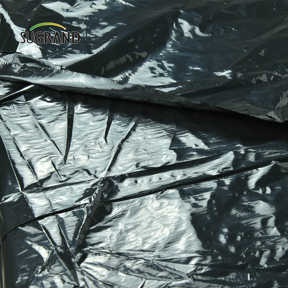China Manufactory Prata Preto LLDPE Filme Plástico Agrícola para Estufa