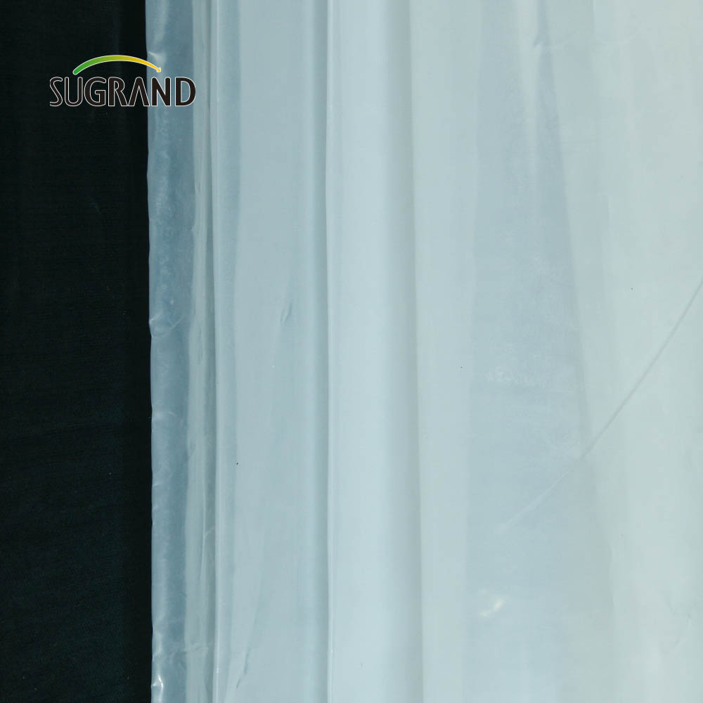 Filme de estufa de preços de fábrica barato FILMO DE GREENHONHO DE GREENHONHA DE FATORAGEM DE 150 MICRON PARA VEGELE