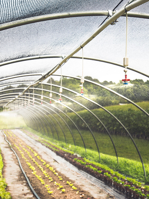 rede de sombreamento