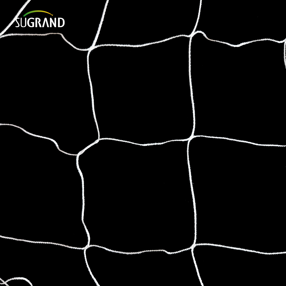 Planta de nylon branca por atacado Trellis Retinging Reting 5x15 pés Jardim 6 'Malha para escalar