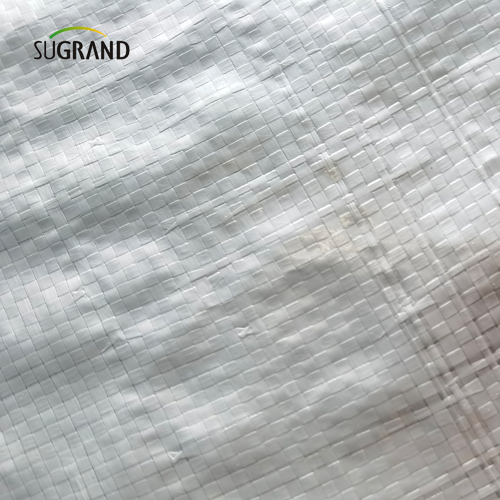 Fábrica de plástico branca de plástico branco de fábrica folha de lona UV