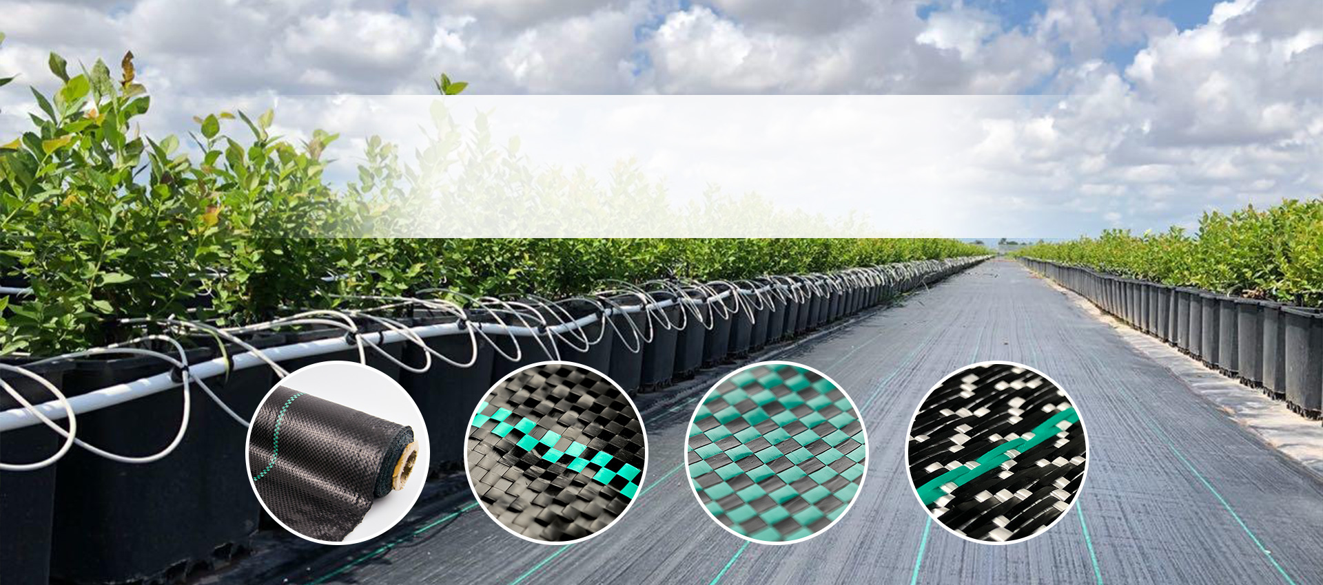 ground cover manufacturer