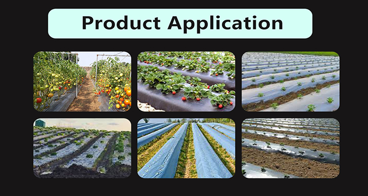 Filme da Agriculture Mulch