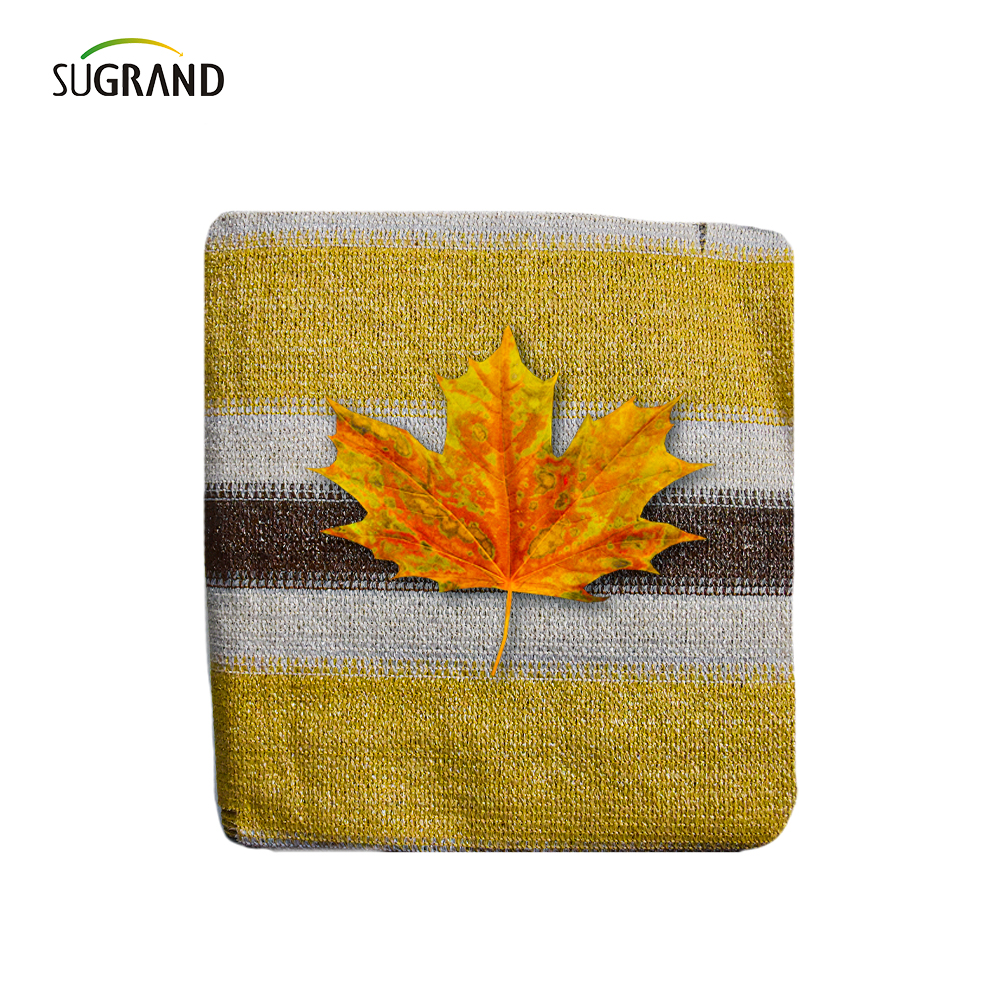 Espessando 6 agulhas