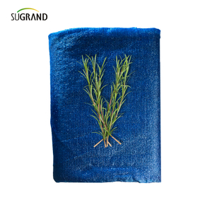 Seis agulhas mono+fita adesiva azul net