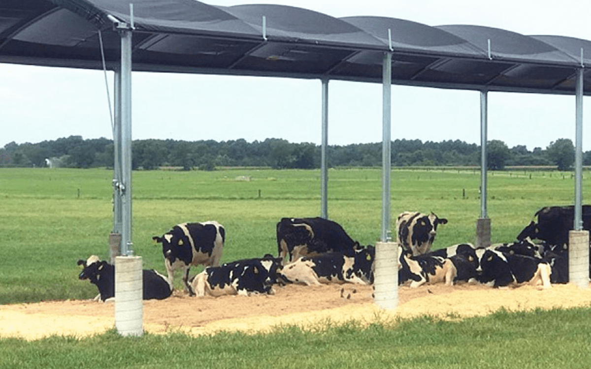 São velas de sombra à prova d'água