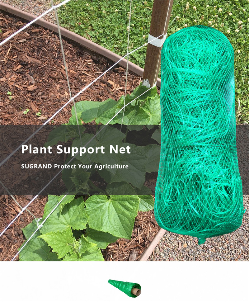 plant support net 1_副本 rede de suporte de planta 1_副本