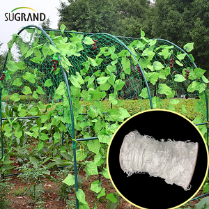 Nylon White Trellis Net Salbing Plants de apoio à rede