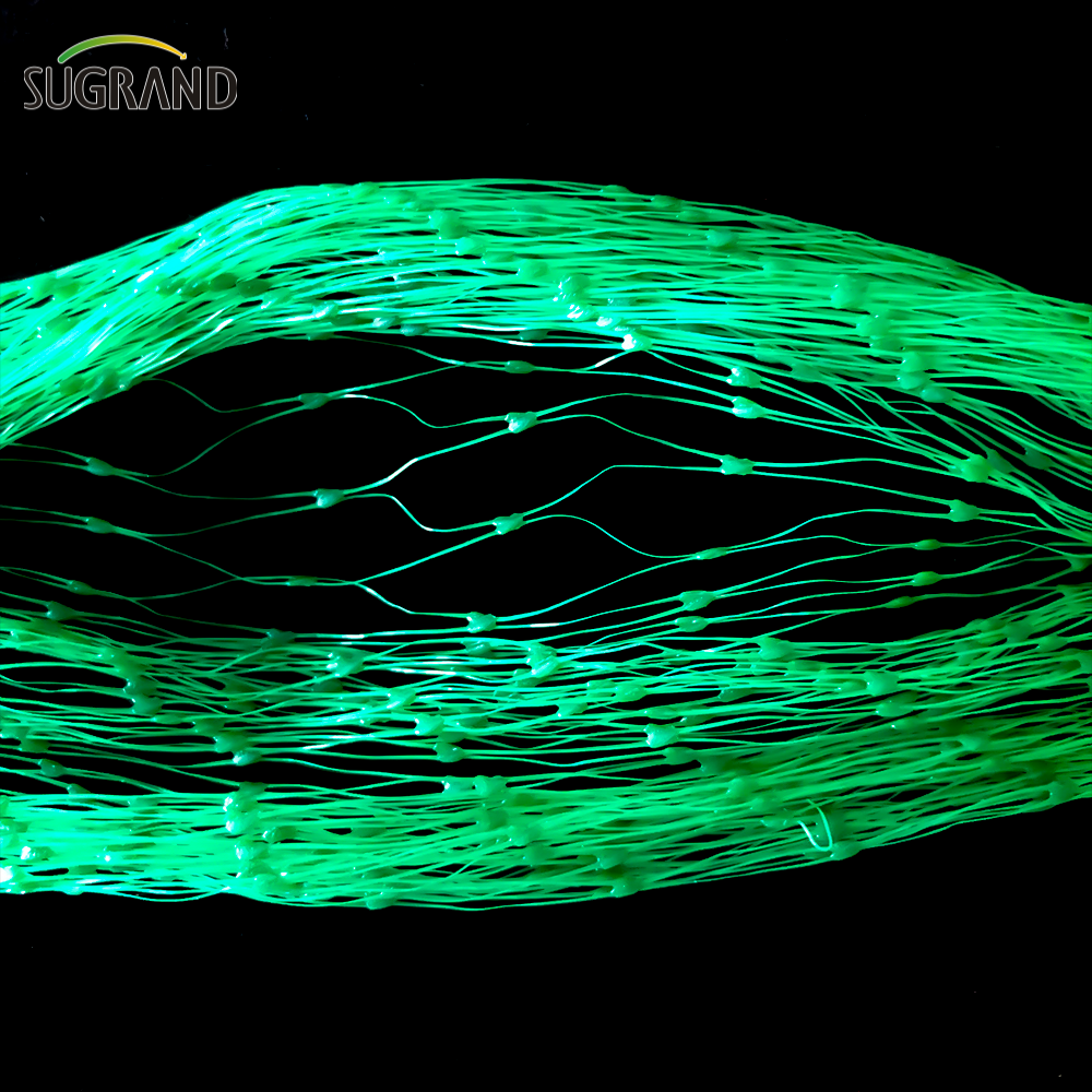 Mercado irlandês verde extrudado Anti -Bird Net Protect Plants