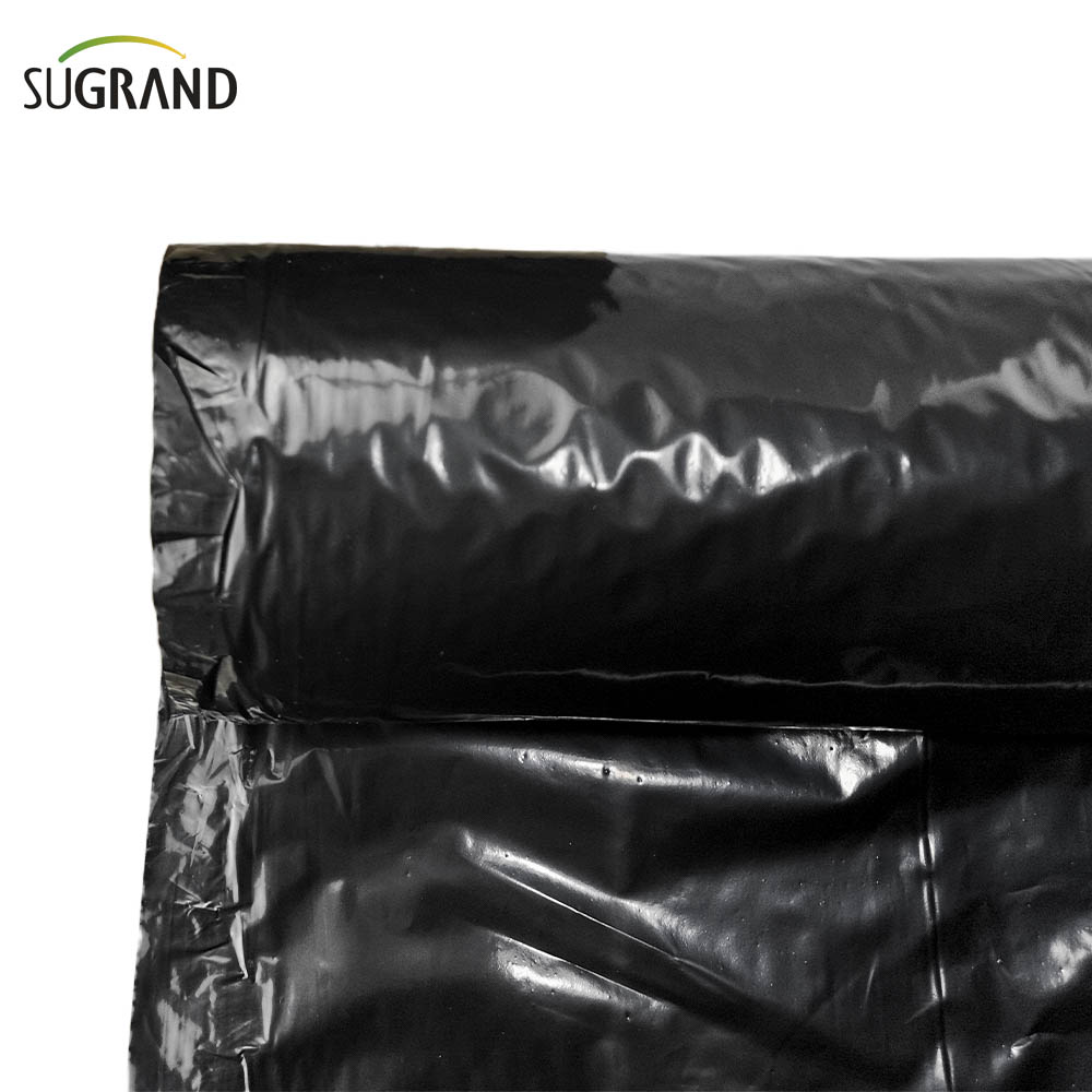 Biotelo Biodegradável Mulch Film Agriplast Mulching Agri Mulch