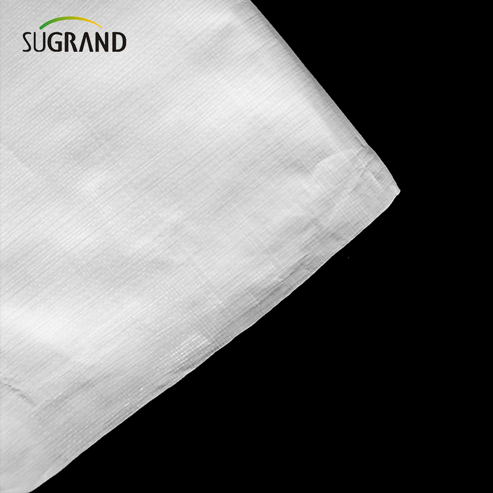 Tarcaulina branca pe