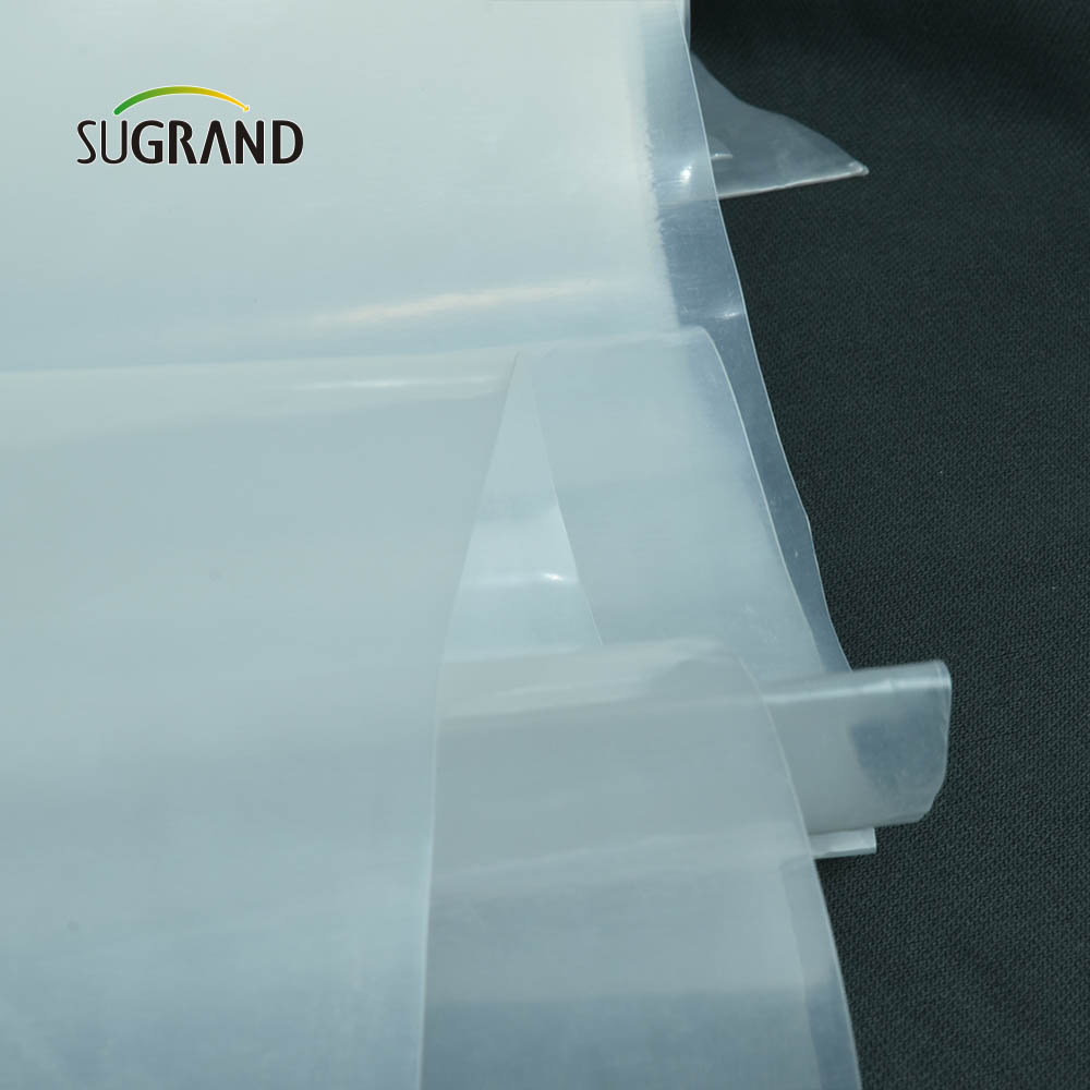 Filme de estufa de preços de fábrica barato FILMO DE GREENHONHO DE GREENHONHA DE FATORAGEM DE 150 MICRON PARA VEGELE