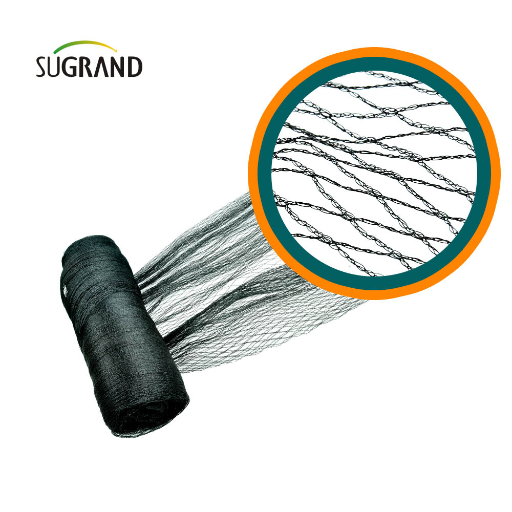 Fábrica de rede agrícola para pássaros verdes pretos