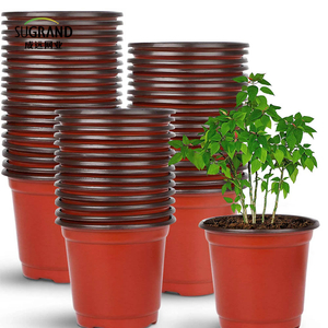 Jardim Seed Starter Grow Bandejas Plantas Berçário Potes de mudas