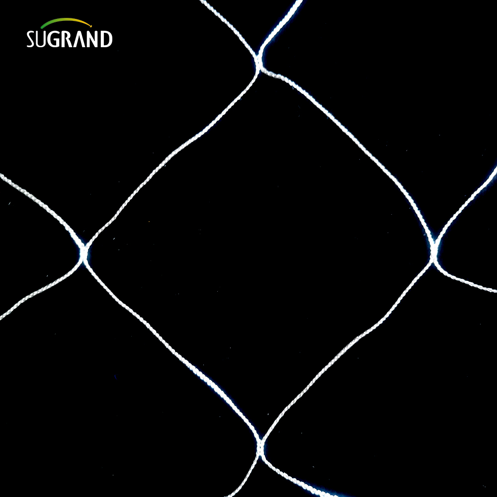 Planta de nylon branca por atacado Trellis Retinging Reting 5x15 pés Jardim 6 'Malha para escalar