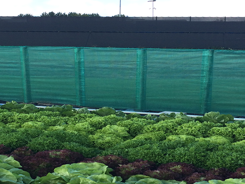 Usos inovadores da rede de quebra de vento em áreas residenciais