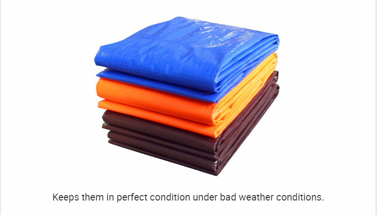 tarpaulin6 Tarpaulin6