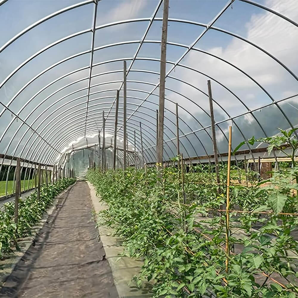 Filme de estufa de plástico de polietileno