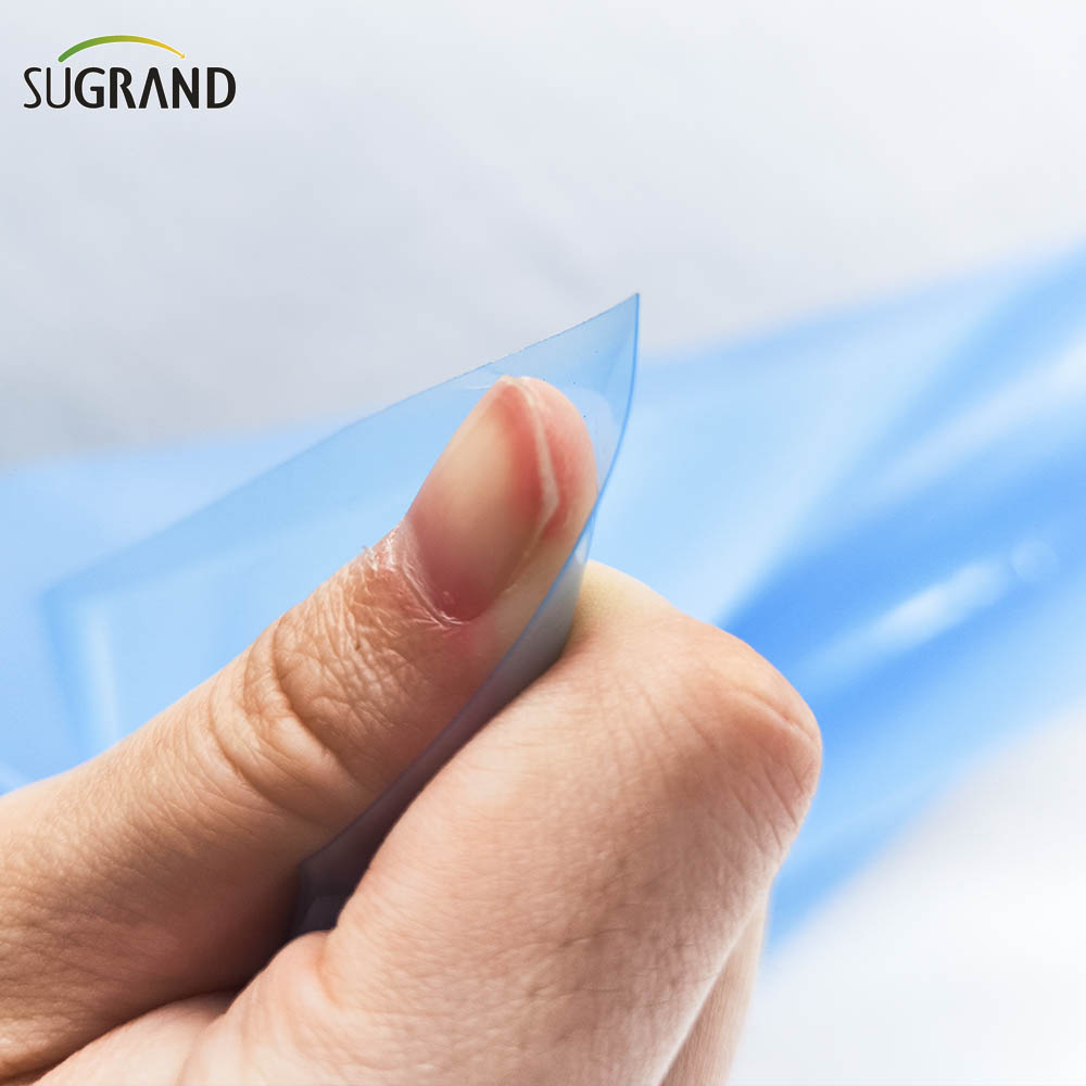 F&aacute;brica de filmes de estufa