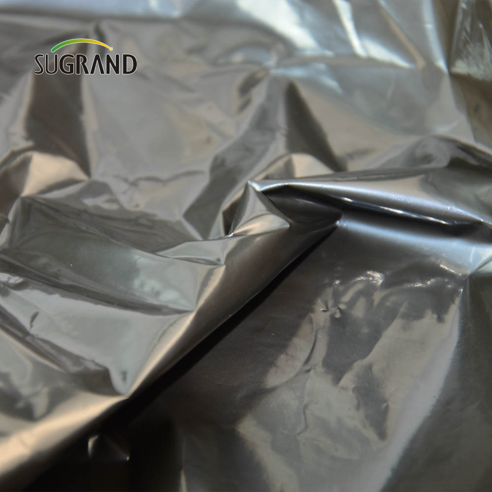 Filme de cobertura morta biodegradável de boa qualidade diretamente da fábrica 10 mícrons - 100 mícrons para fazenda