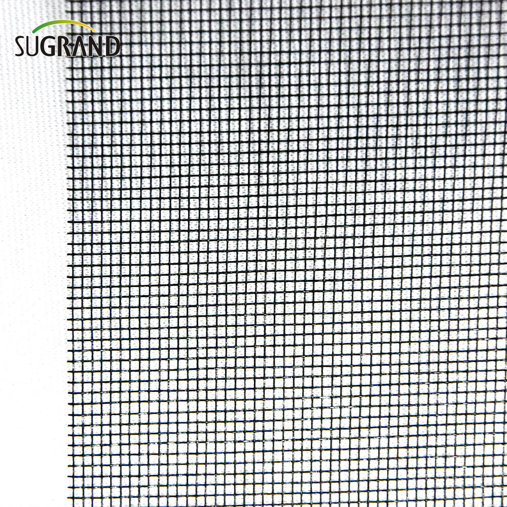 110GSM Anti Insect Fiberglass Insect Scel Screen Mesh Fornecedores