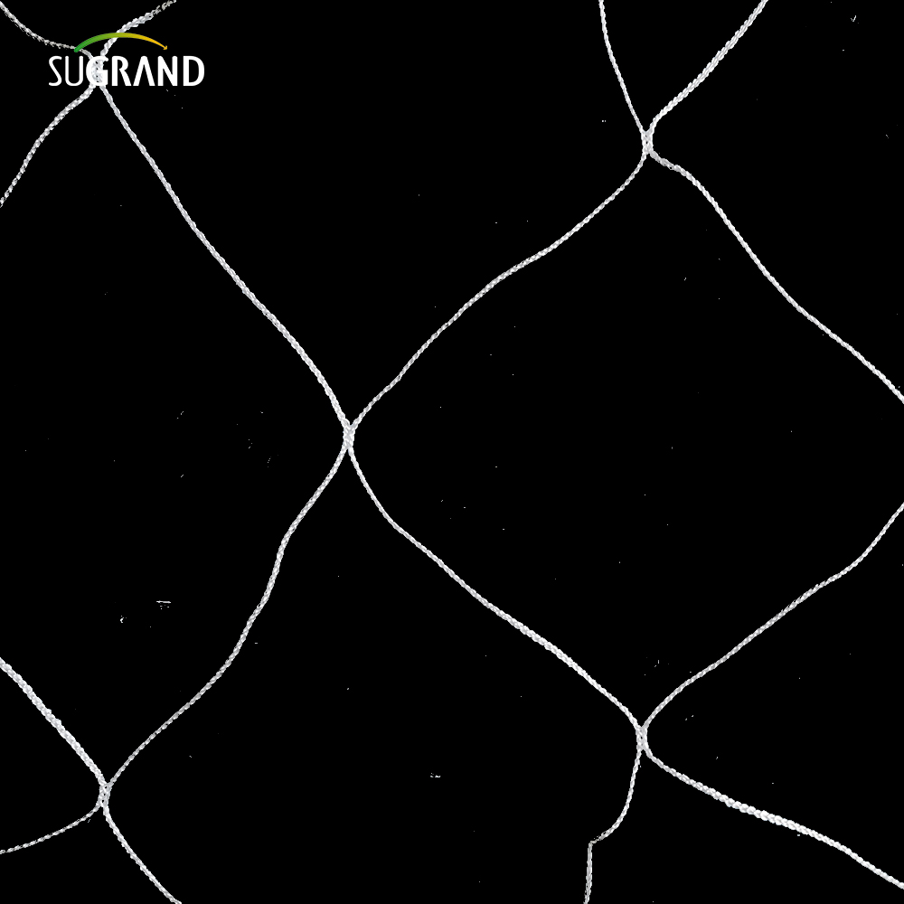 Planta de nylon branca por atacado Trellis Retinging Reting 5x15 pés Jardim 6 'Malha para escalar