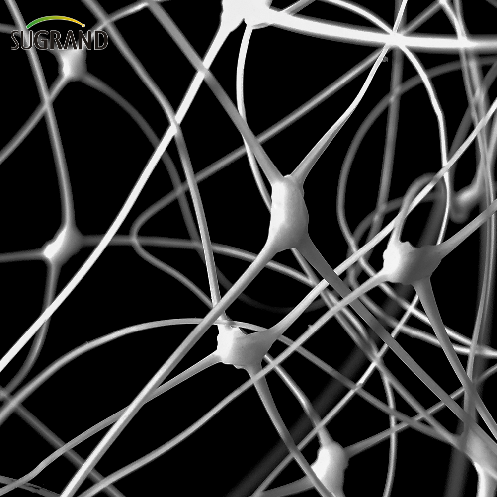 Garden Green White Balck Trellis Plant Climbing Support Fornecedores de rede