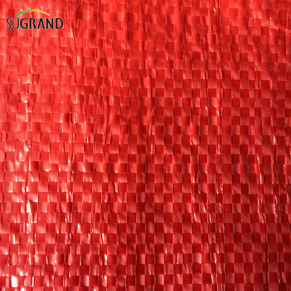 A batata plástica da malha do mercado do Chile ensaca o saco líquido dos PP dos sacos da cebola