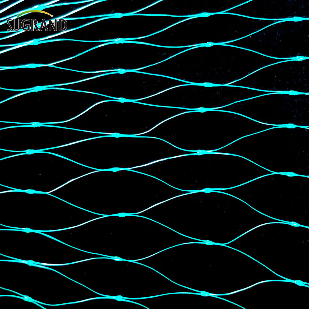 Mercado irlandês verde extrudado Anti -Bird Net Protect Plants