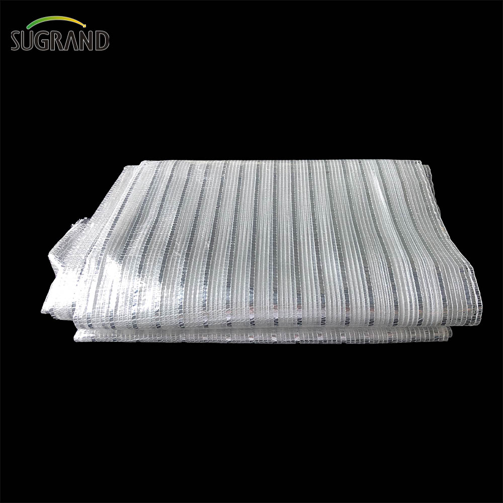 NETA DE MONTA DE ALUMINA PRATA DE 50% PRATA PARA A BACONY GARDEN Protection 
