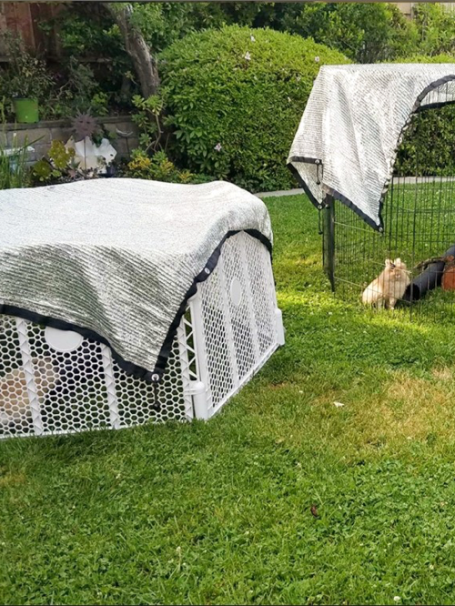 NETURA DE THADA DE ESGUNDA