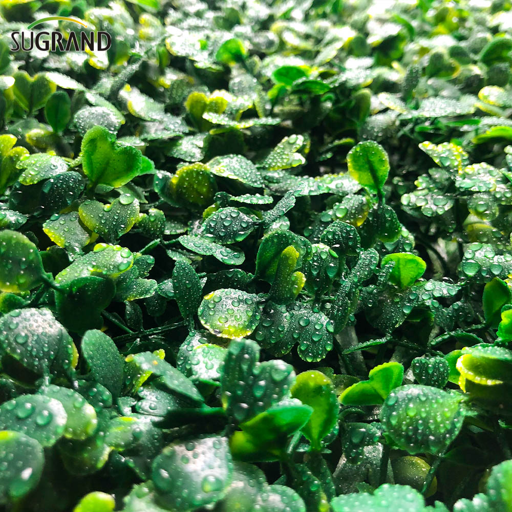 Cerca de folha artificial PVC Cerca artificial Artificial Artificial Fake Turf