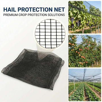 anti hail net.jpg