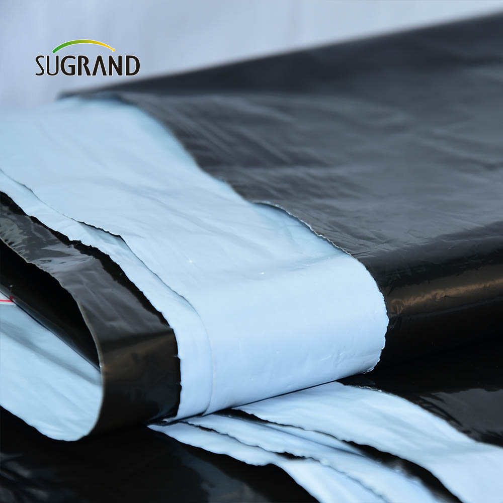 Filme de cobertura morta biodegradável de boa qualidade diretamente da fábrica 10 mícrons - 100 mícrons para fazenda