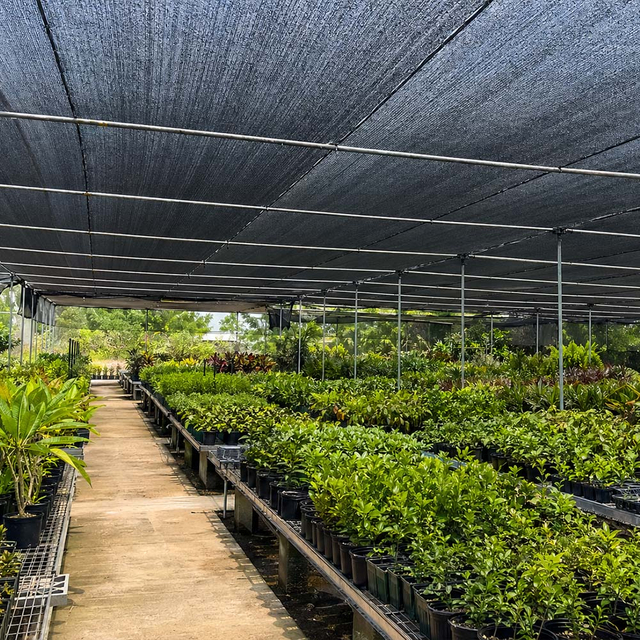 Rede de sombra mono preta de malha HDPE por atacado
