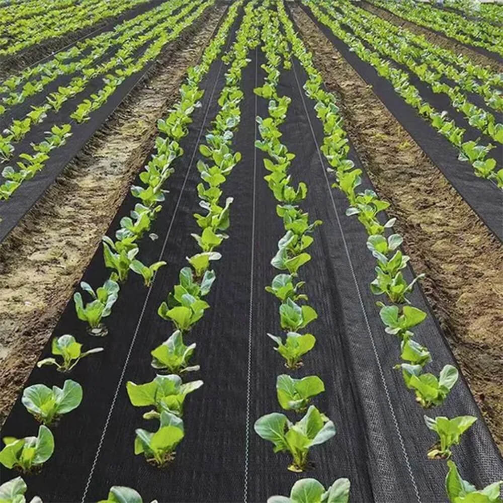 Fábrica de tecido de paisagem de cobertura de solo verde escuro