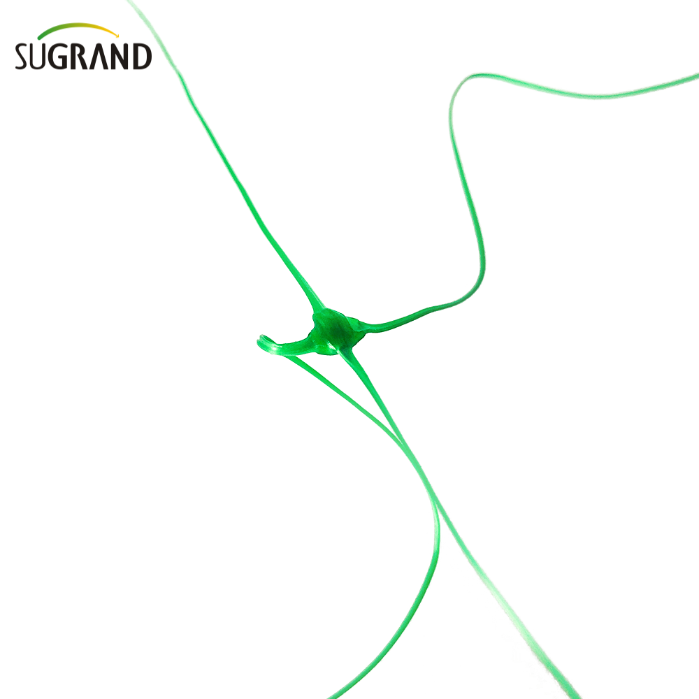 HDPE Plant Protection Plant Suporte